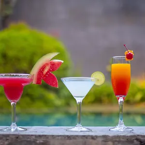 https://ziva-a-boutique-villa.ubudhotelsnow.com